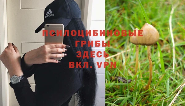 трава Абаза