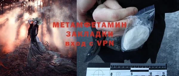 трава Абаза