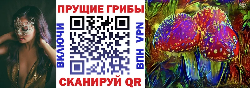 Псилоцибиновые грибы мухоморы  hydra онион  Химки 